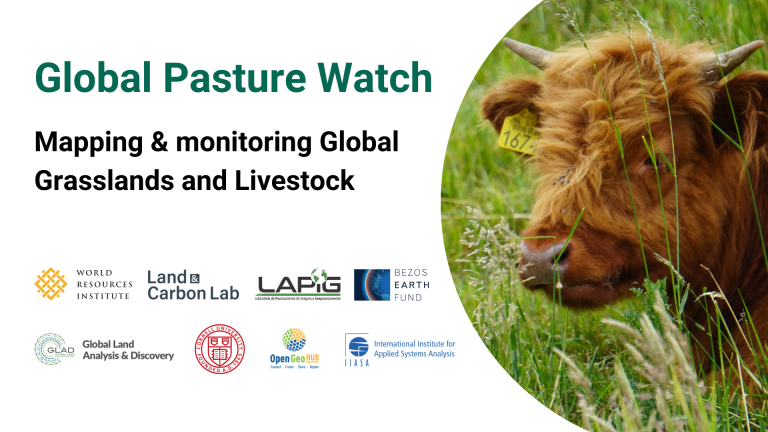 Global Pasture Watch